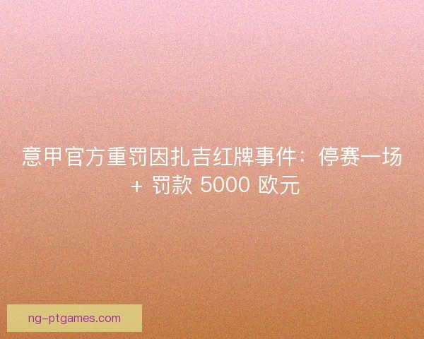 意甲官方重罚因扎吉红牌事件：停赛一场 + 罚款 5000 欧元